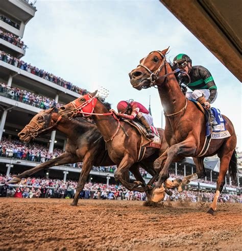 Kentucky Derby 2026: Power Rankings & Museum Tour