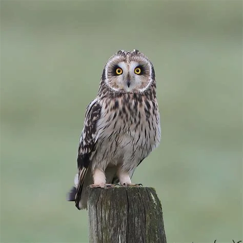 North Texas Realignment 2026‑28: 5 District Changes You Must Know