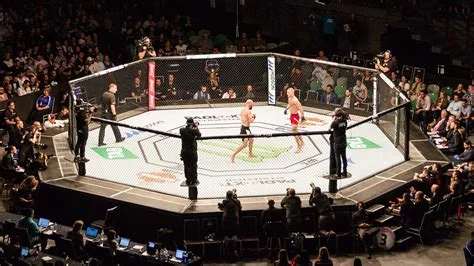 Volkanovski Defends Featherweight Crown, Ties Aldo’s 8 Wins